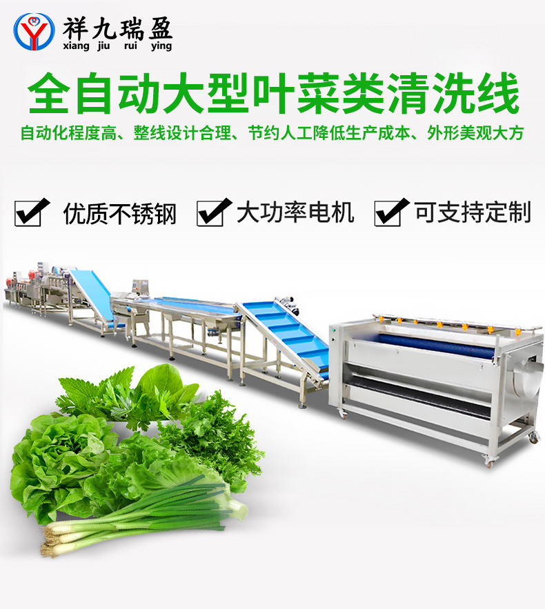 大型葉菜類清洗線生產(chǎn)流程與配套設(shè)備，你知道有多少？