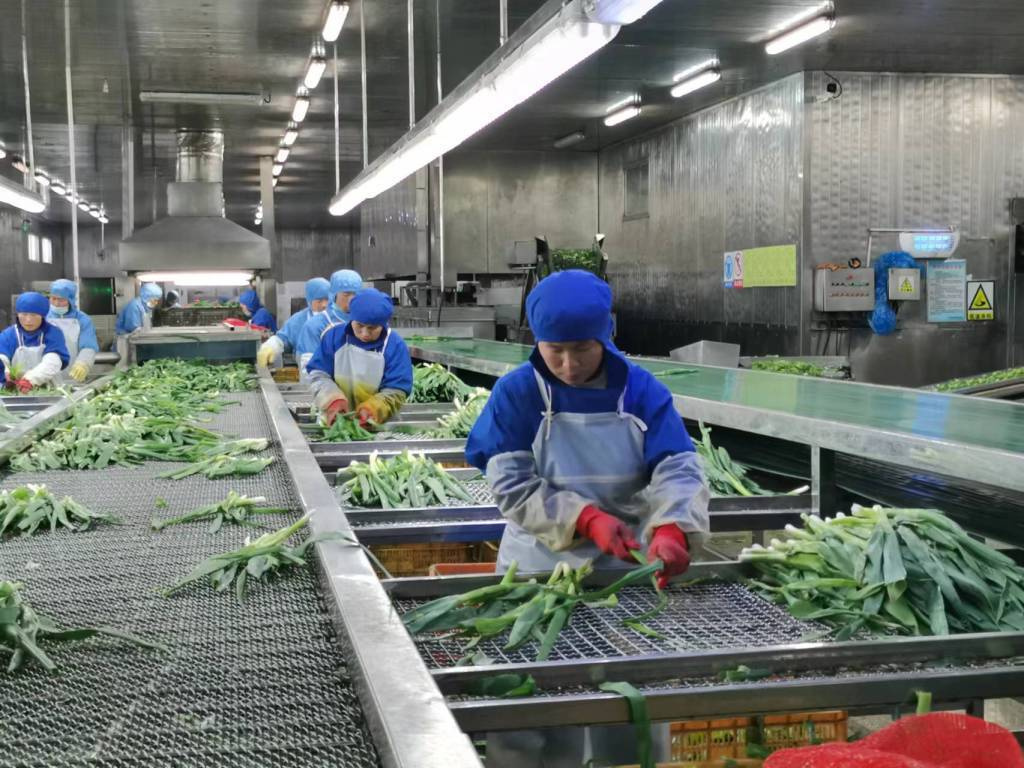 預(yù)制菜生產(chǎn)線定制方案與管理控制，如何組建預(yù)制菜的加工廠
