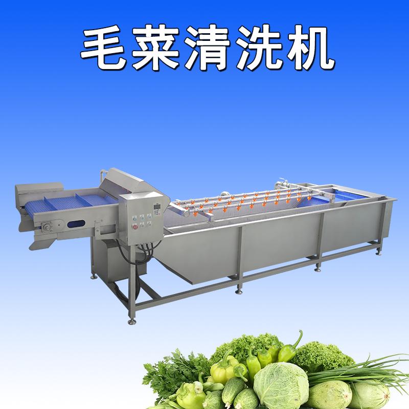 大型葉菜清洗機(jī)可將葉菜表面的污垢、沙粒和雜質(zhì)徹底清除